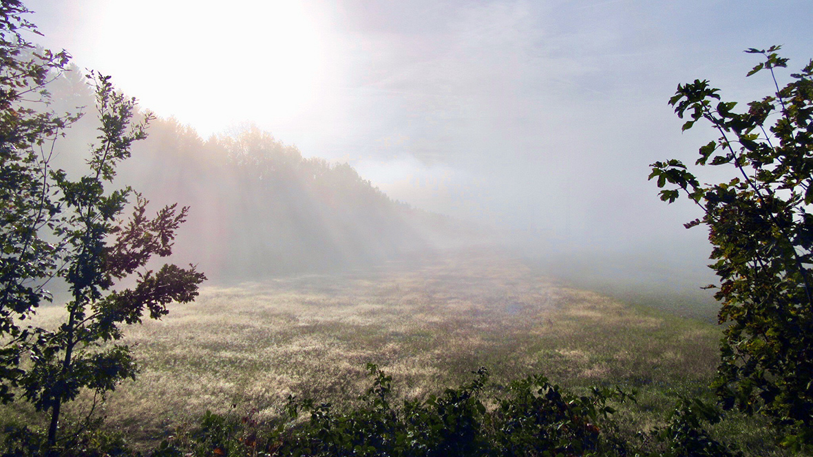 Frühnebel im Erzgebirge.Foto: Chris Bergau