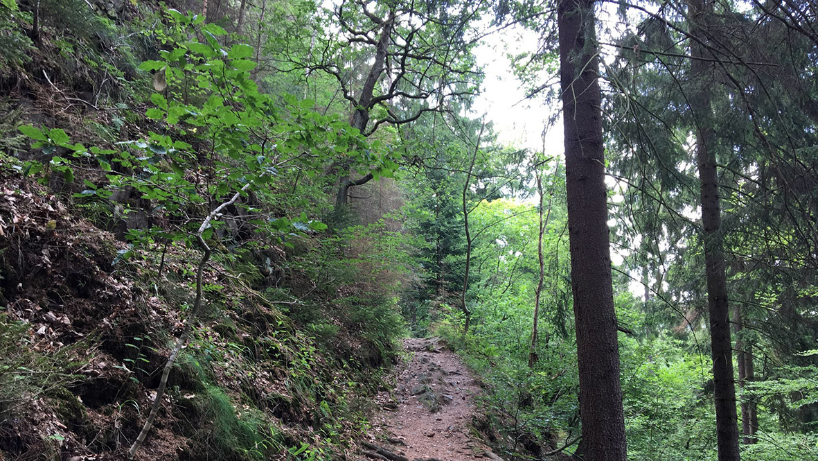 Wanderweg im Grundtal bei Chomutov (Komotau). Foto: Chris Bergau