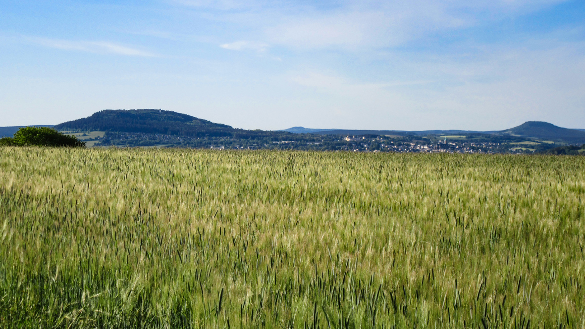 Herrliches Erzgebirgspanorama. Im Vordergrund der 832 Meter hohe Pöhlberg, mit der Bergstadt Annaberg-Buchholz. Weiter rechts der 965 Meter hohe Velký Špičák (Großer Spitzberg) im böhmischen Erzgebirge und ganz rechts, der 898 Meter hohe Bärenstein. Foto: Chris Bergau