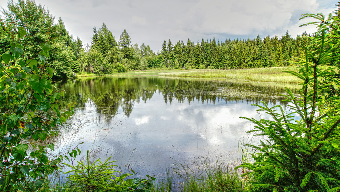 Der Tiefenbachteich bei Satzung. Foto: Chris Bergau