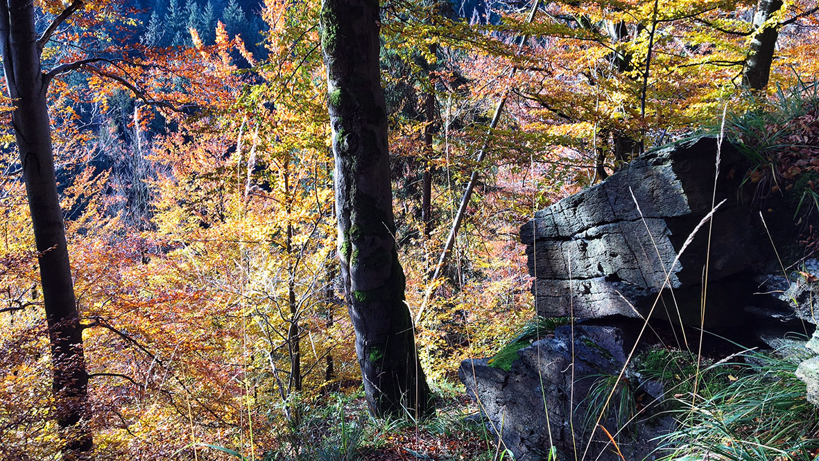 Herbstlandschaft im Gebirge. Foto: Chris Bergau