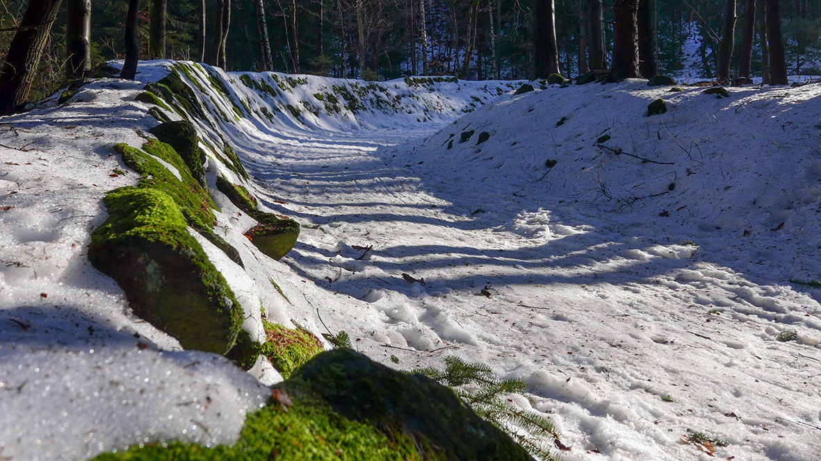 Wanderung auf den 832 Meter hohen Pölberg. Foto: Chris Bergau