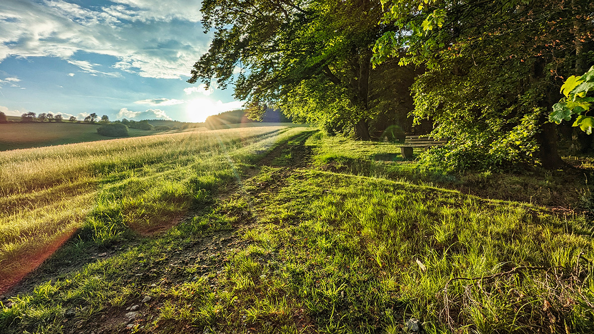 Landschaft bei Sehma. Foto: Chris Bergau