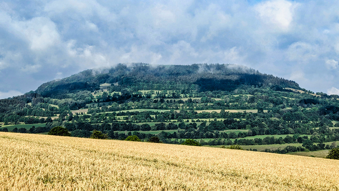 Blick auf den 832 Meter hohen Pöhlberg. Foto: Chris Bergau