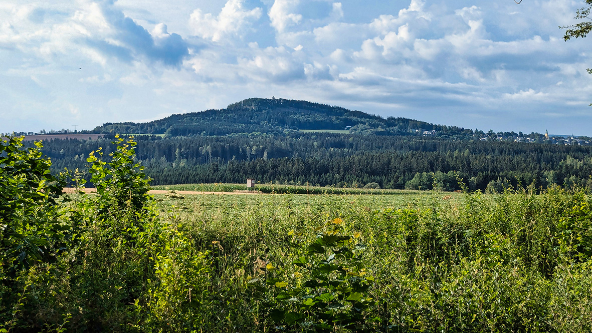 Der 807 Meter hohe Scheibenberg. Foto: Chris Bergau