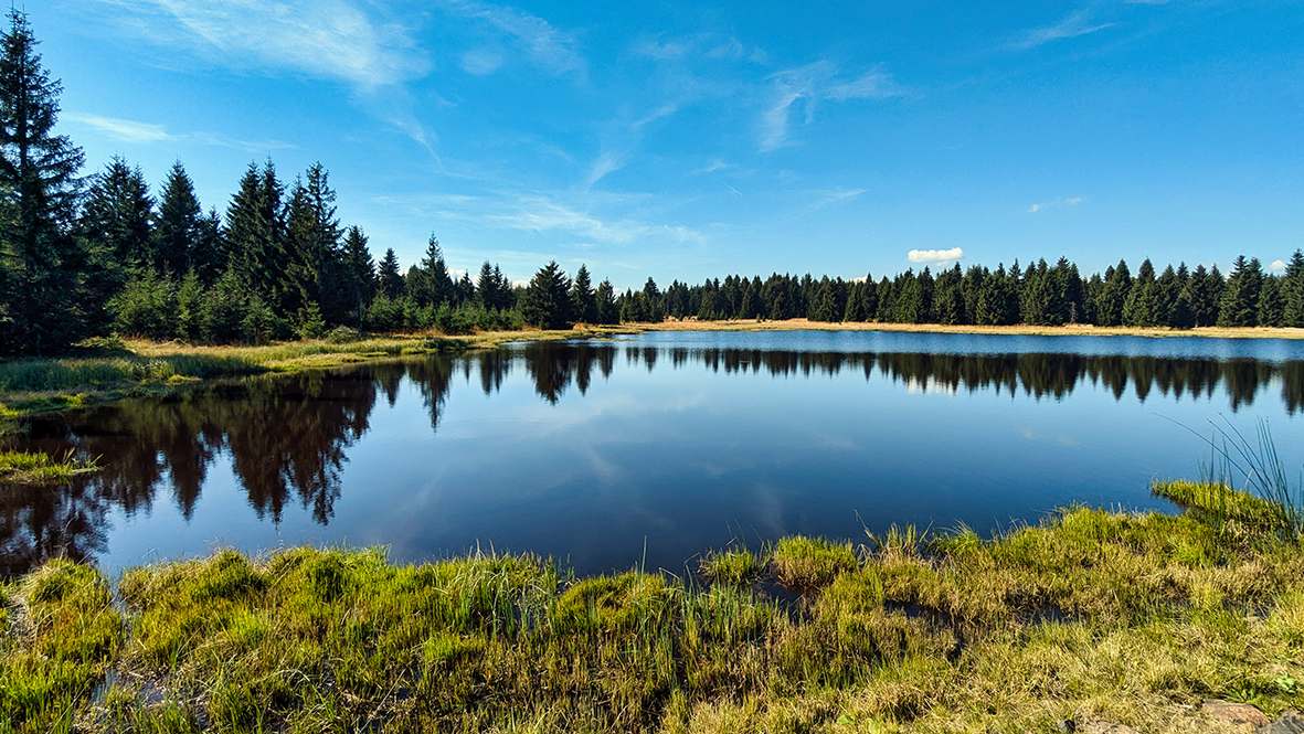 Der Novoveský rybník (Schwarztorfsee) bei Hora Svatého Šebestiána (Sankt Sebastiansberg). Foto: Chris Bergau